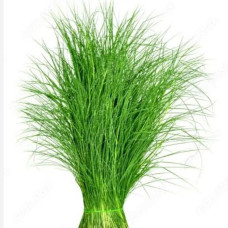 Arugambul 50g online in chennai