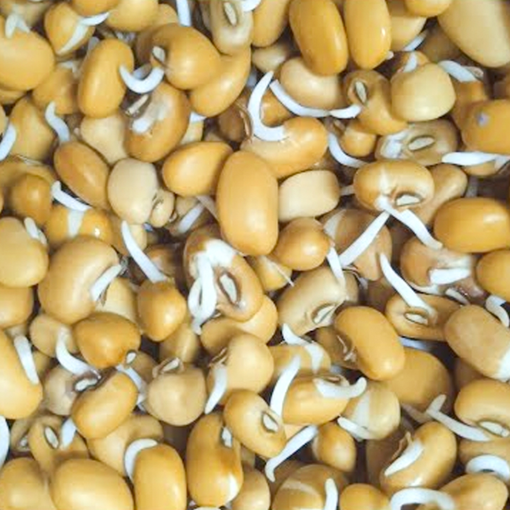 karamani sprouts- 200g  