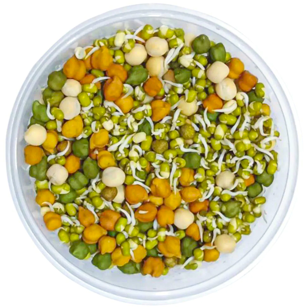 Mixed sprouts- 200g 