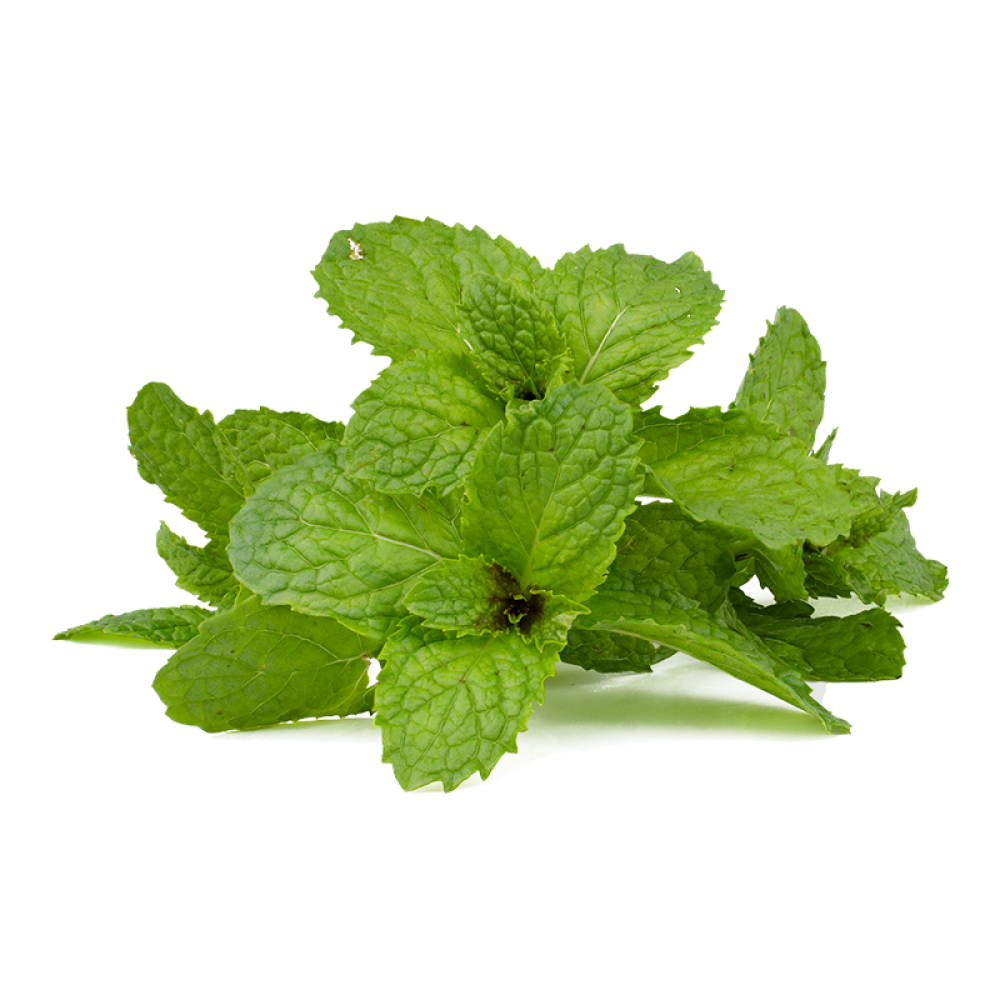 Mint leaves 