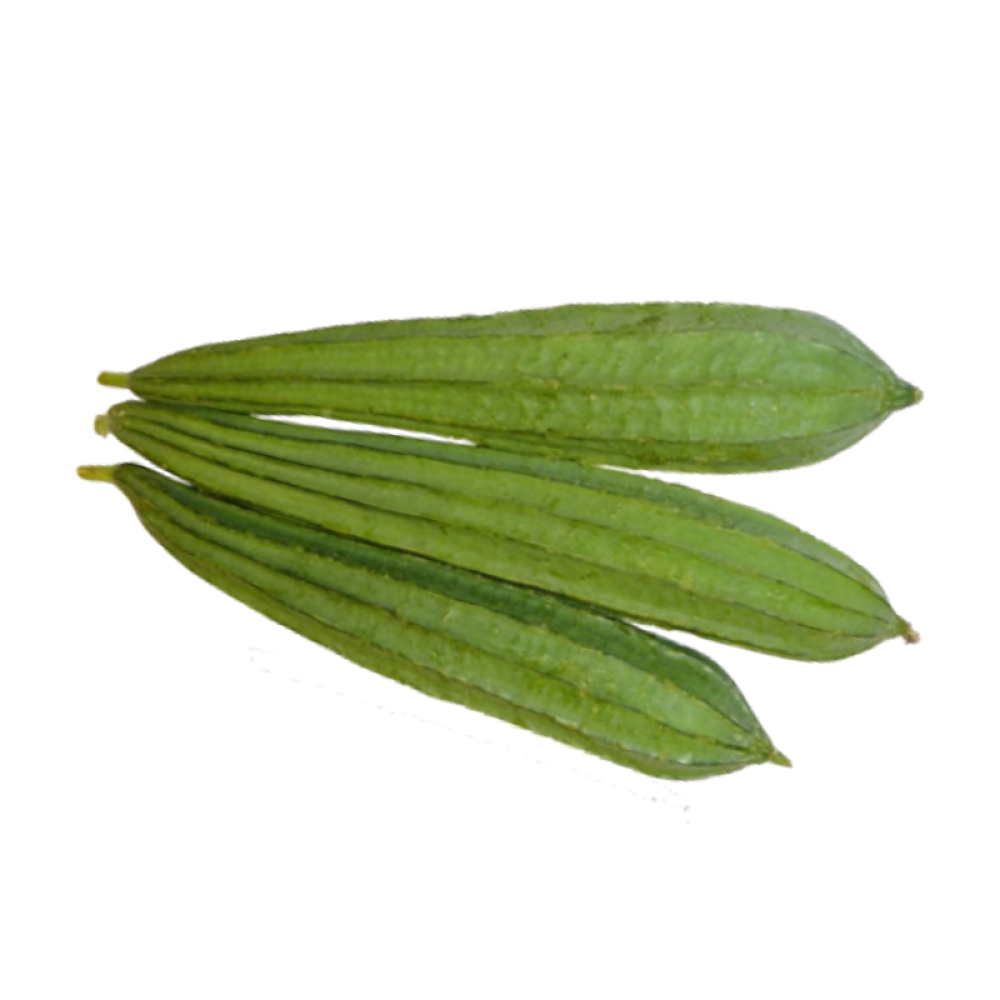 Ridge Gourd 
