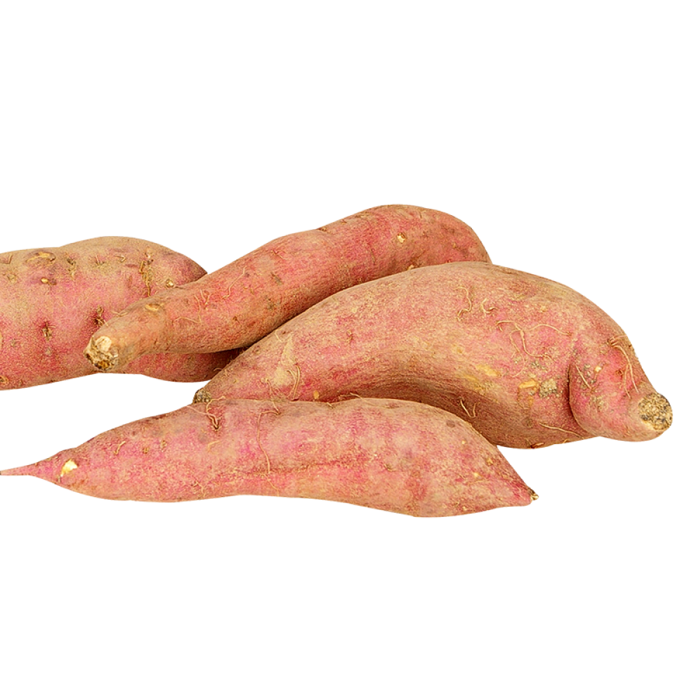 Sweet Potato 