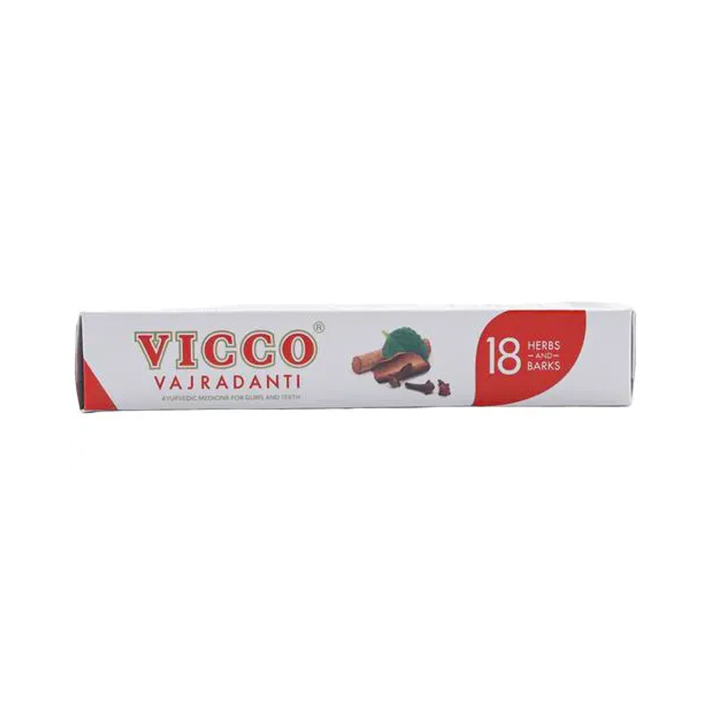 Vicco Vajradanti Tooth Paste 100g 