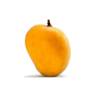 Alphonso Mango 