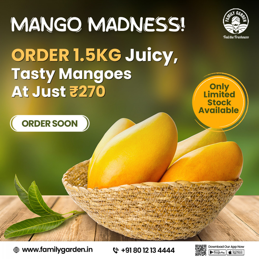 Banganapalli  Mango 1.5 Kg Offer
