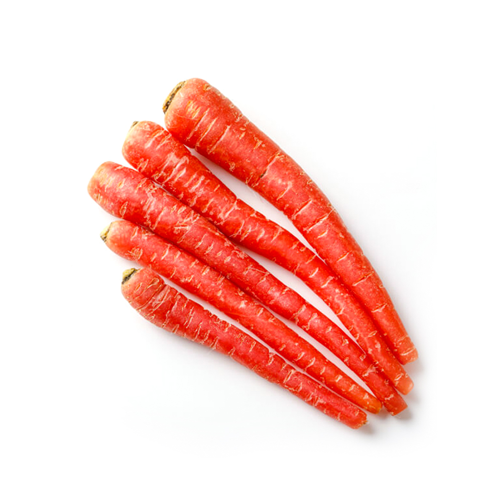 Red Carrot 