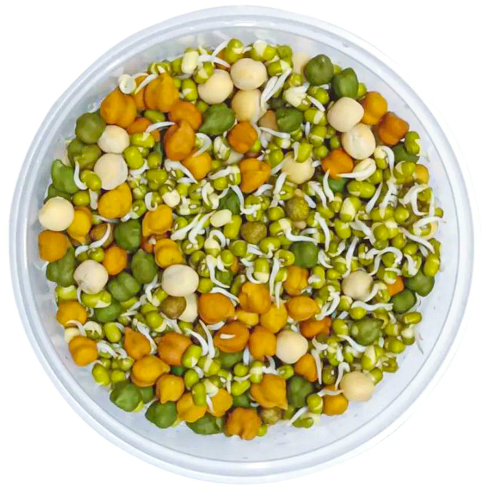 Mixed sprouts- 100g 