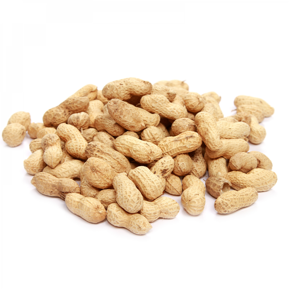 Raw Groundnut with Shell  