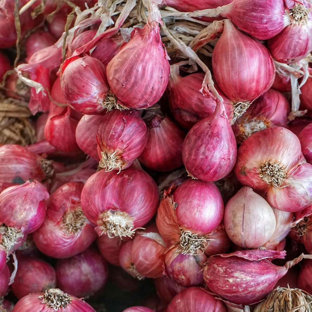 Buy Fresh Small Onion Vegetables Online in Chennai- Family Garden