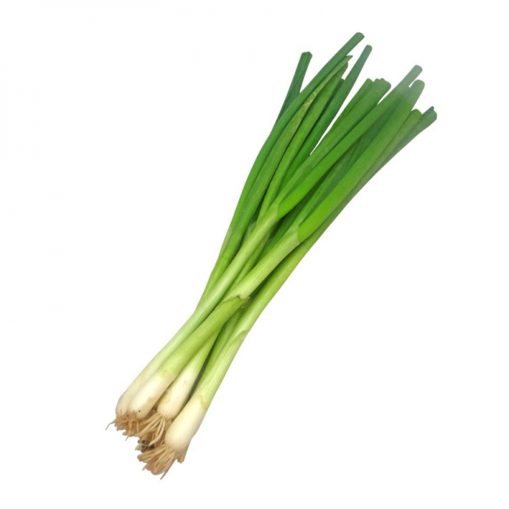 Spring Onion  